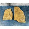 Image 1 : Dendritic Sandstone Mineral Specimens
