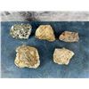 Image 1 : Collection Of Lapidary Material