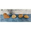 Image 2 : Septarian Lightning Stones Lapidary Material
