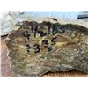 Image 2 : Collection Of Large Lapidary Material