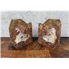 Image 1 : Agatized Petrified Wood Bookends