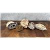 Image 1 : Collection Of Large Lapidary Material