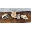 Image 2 : Collection Of Large Lapidary Material