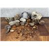 Image 1 : Collection Of Agate & Carnelian Lapidary Material