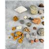 Image 2 : Large Collection Of Mineral & Fossil Specimens
