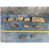Image 3 : Fossil Sea Floor Lapidary Material