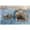 Image 2 : Rainbow Obsidian Lapidary Material