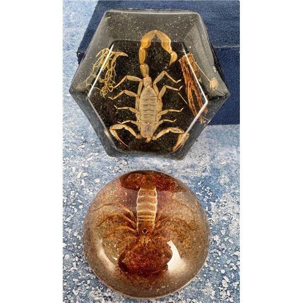 Mid Century Lucite Scorpion Paperweights