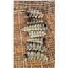 Image 2 : Montana Diamondback Rattlesnake Snake Rattles