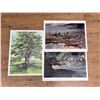 Image 2 : Collection of Signed and Numbered Prints