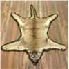 Image 1 : Montana Taxidermy Mountain Lion Rug