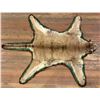 Image 2 : Montana Taxidermy Mountain Lion Rug