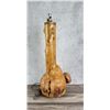 Image 1 : Montana Rustic Burl Lodgepole Lamp