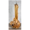 Image 3 : Montana Rustic Burl Lodgepole Lamp