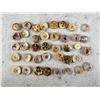 Image 2 : Native American Indian Trade Cowrie Shell Buttons