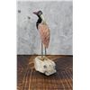 Image 3 : Carved Semi Precious Stone Stork