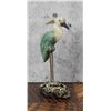 Image 1 : Carved Semi Precious Stone Crane