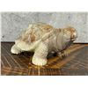 Image 1 : Carved Onyx Turtle