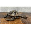 Image 1 : Bronze Sea Turtle Paperweight