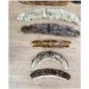 Image 2 : Collection of Fur Jacket Collars