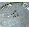 Image 2 : .8ct Total Weight Tourmaline Gemstones