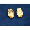 Image 2 : Montana Bull Elk Teeth