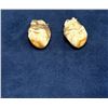 Image 3 : Montana Bull Elk Teeth
