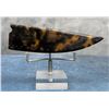 Image 2 : Antique Tortoise Shell Knife Sheath