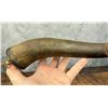 Image 3 : Antique American Frontier Scrimshaw Powder Horn