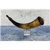 Image 1 : Antique Frontier Powder Horn