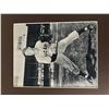 Image 1 : Chicago Cubs Warren Hacker signed photo