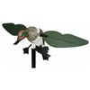 Image 1 : MOJO GREEN WING TEAL DECOY