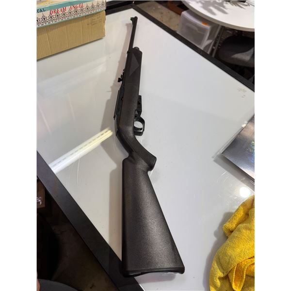 Crossman pellet gun