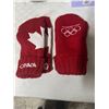 Image 1 : Mitts