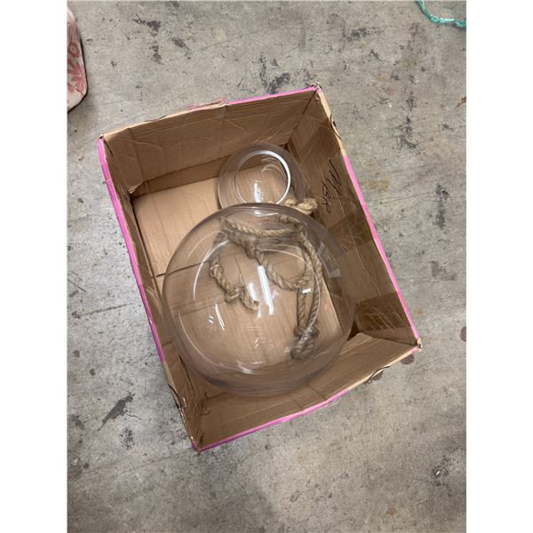 Plant terrariums