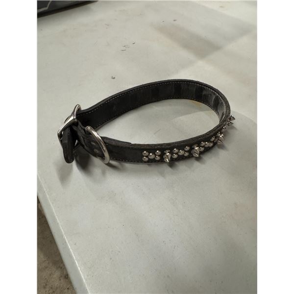 Dog collar