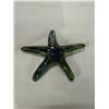 Image 1 : Glass starfish