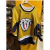 Image 1 : Nashville jersey large