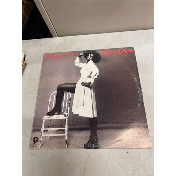 Gloria Gaynor experience record