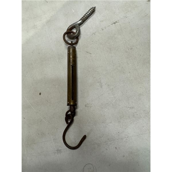 Salter scale