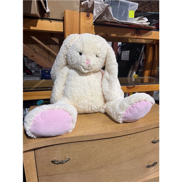 Bunny