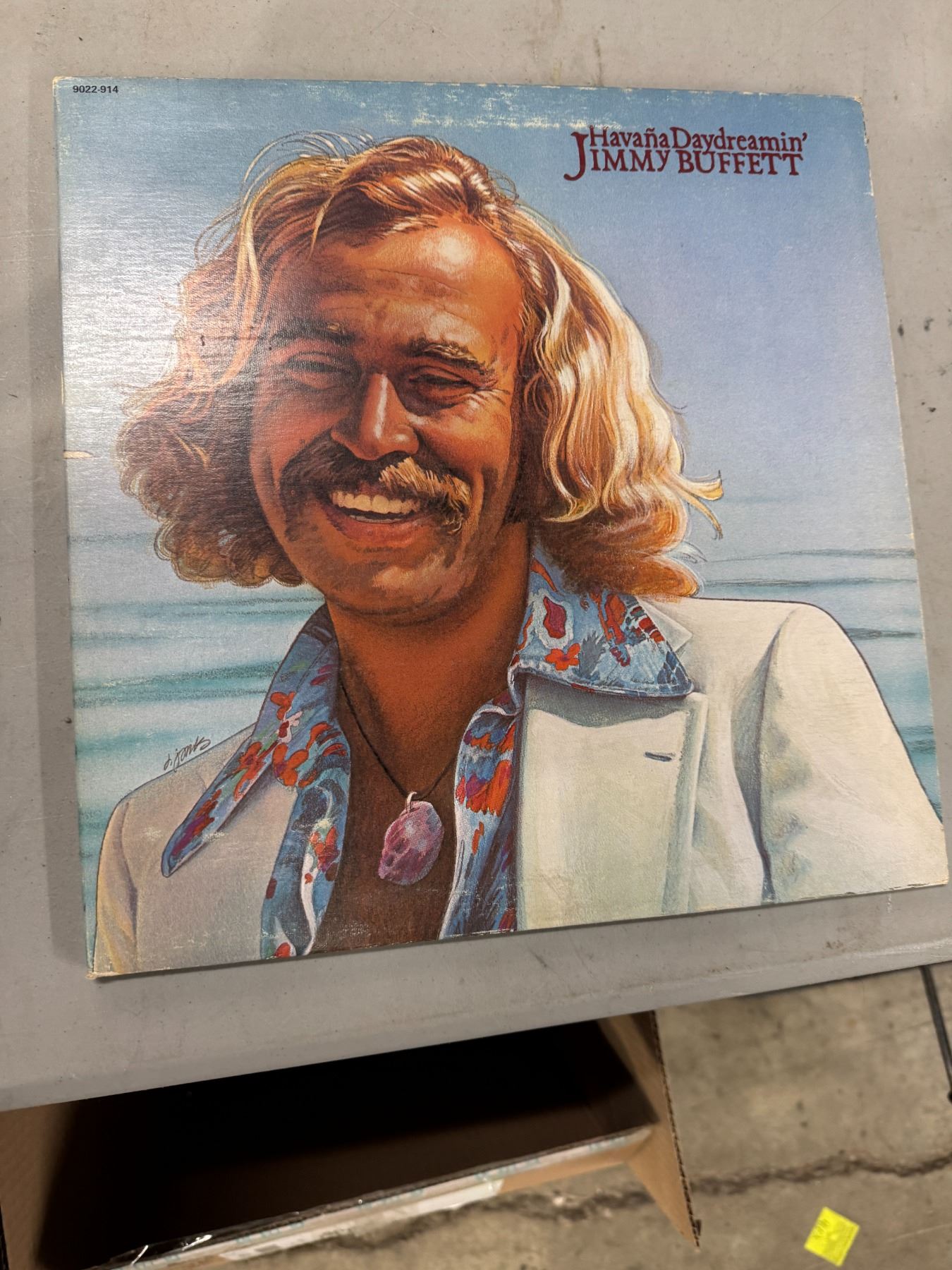 Jimmy Buffett record