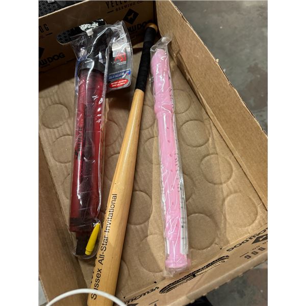 Pump, recorder, and bat