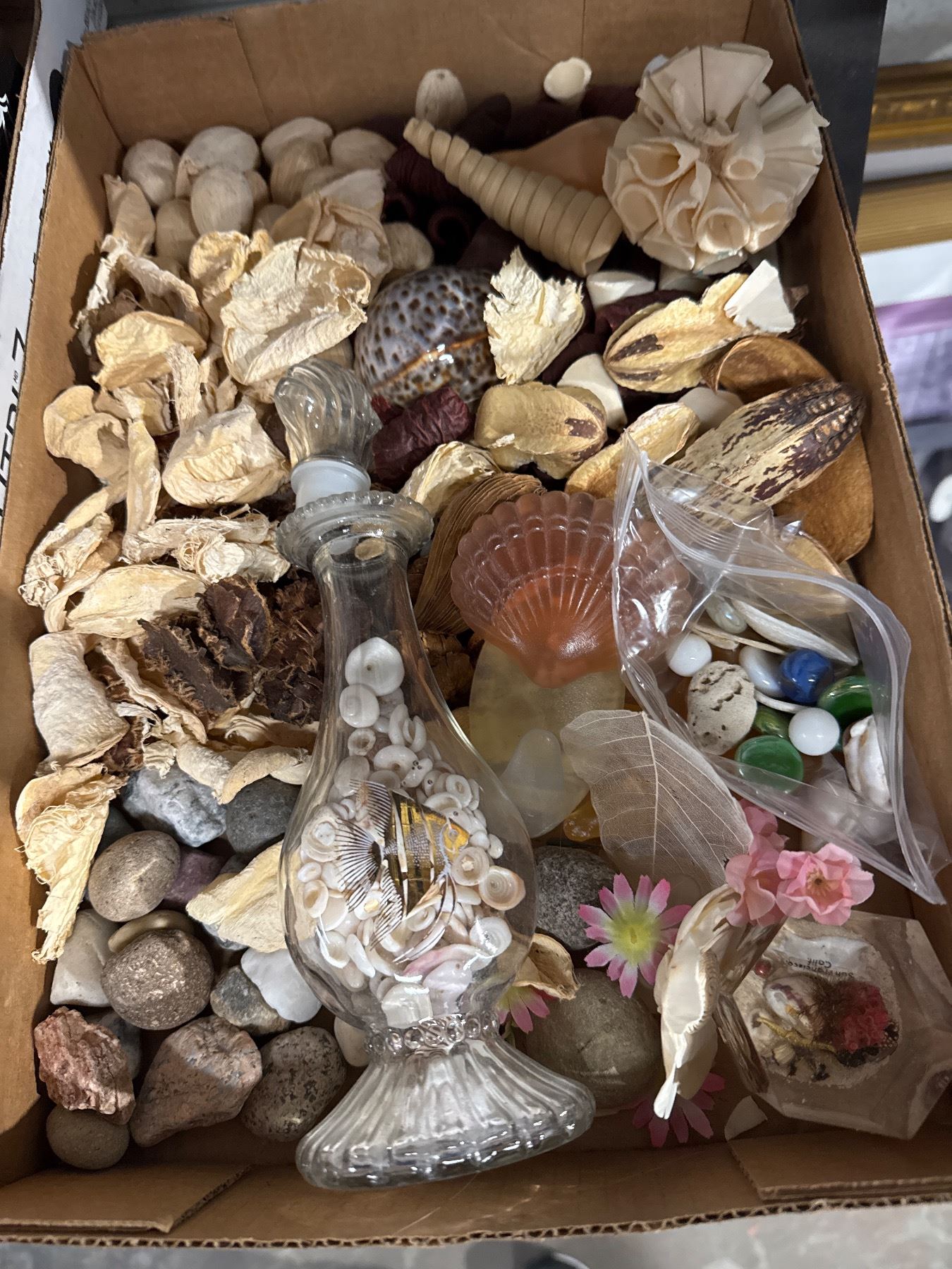 Shells