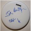 Image 1 : U2 signed drum head
