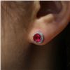 Image 1 : NEW LADIES MICRO-INLAID CLASSIC EARRINGS