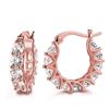 Image 1 : NEW LADIES MICRO-INLAID EARRINGS