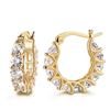 Image 1 : NEW LADIES MICRO-INLAID EARRINGS