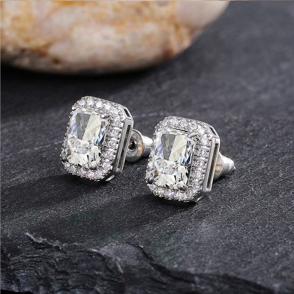 NEW LADIES EXQUISITE STYLE EARRINGS