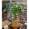 Image 1 : LARGE ARTIFICIAL PLANT